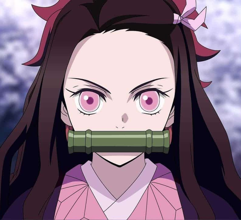 Picture of Nezuko Kamado